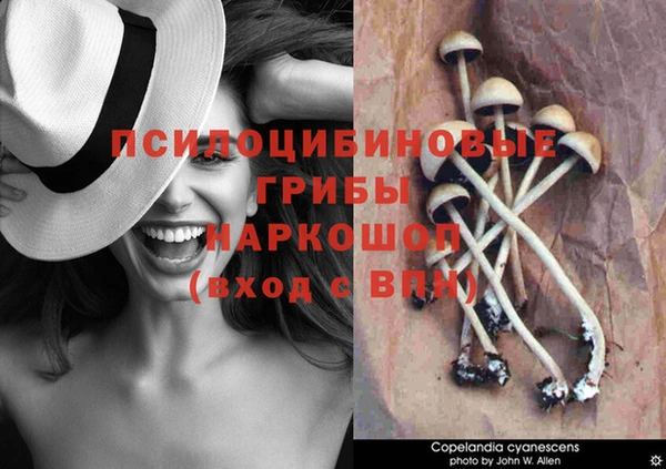 кокаин Алексеевка
